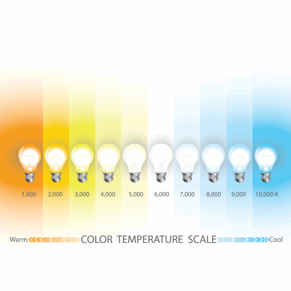 Flexistrip Lucid